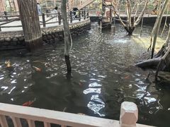 -南宫五洲植物乐园