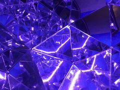 -信不信由你博物馆