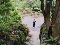 -深圳仙湖植物园