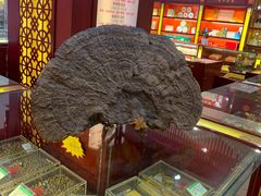 -同济堂药房连锁·中医院(正新街店)