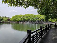 -白马涧龙池景区