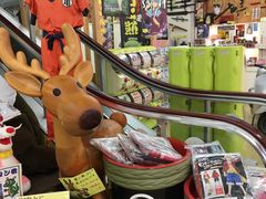 -(株)越後屋デパート
