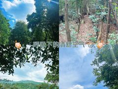 -广州市白云山风景名胜区