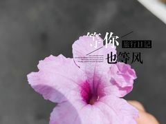 -梅州雁山湖国际花园度假区