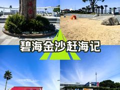 -碧海金沙