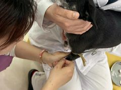 -全心全意动物诊疗中心医院(北苑店)