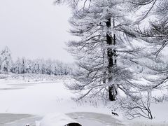-瓦屋山景区