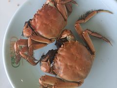-绿岛港轩海鲜烤肉涮锅自助餐厅