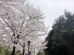 -穹窿山景区
