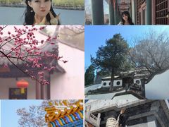 -国家图书馆·古籍馆