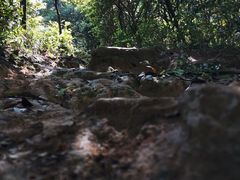 -梧桐山风景名胜区