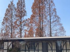 -一尺花园(安和花园店)