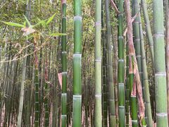 -同里国家湿地公园