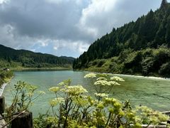 -武陵山森林公园