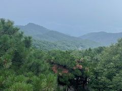 -沂蒙山旅游区云蒙景区(蒙山国家森林公园)