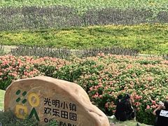 -光明小镇欢乐田园