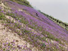 -汉长安城未央宫国家考古遗址公园