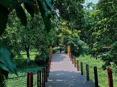 -张坝桂圆林公园