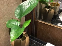 -九华山聚龙大酒店