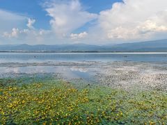 -西昌邛海湿地