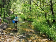 -碓臼峪自然风景区