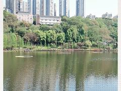 -重庆彩云湖湿地公园