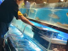 -喜庭海鲜自助(来福士店)