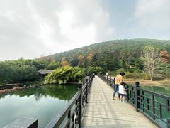 -九龙潭景区
