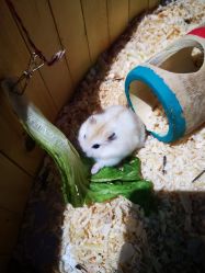 -酷嗒动物文化乐园(cutezoo西溪乐天城店)