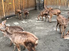 -成都欢乐谷