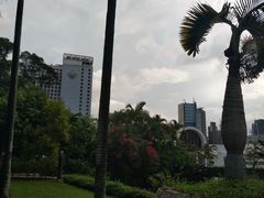 -九龙公园