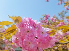 -三国赤壁古战场
