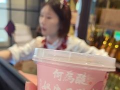 -大鸭梨烤鸭店(花园村店)