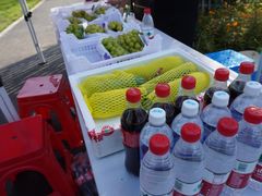 -广富林郊野公园