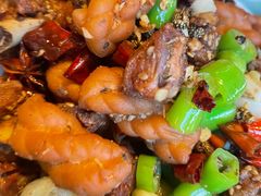 -大鹅岛绿色生态美食园