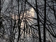 -桤木河湿地公园