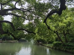 -西溪国家湿地公园