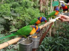 -南宫五洲植物乐园