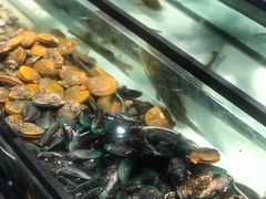 -海吃海喝海鲜烤肉炭火主题自助餐(朝阳店)