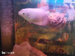 景观位-聪辉同安老美食饭店(大元路店)
