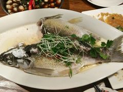 -广东道至正餐厅(区庄店)