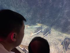 -太平洋海底世界博览馆·展览厅