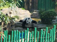 -大连森林动物园