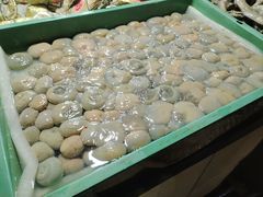 -花园菜市场