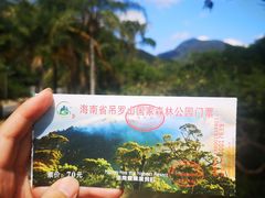 -海南热带雨林国家公园吊罗山景区