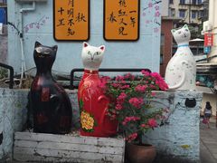 -猫咪博物馆(顶澳仔猫街店)
