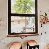 Papaya    Cafe