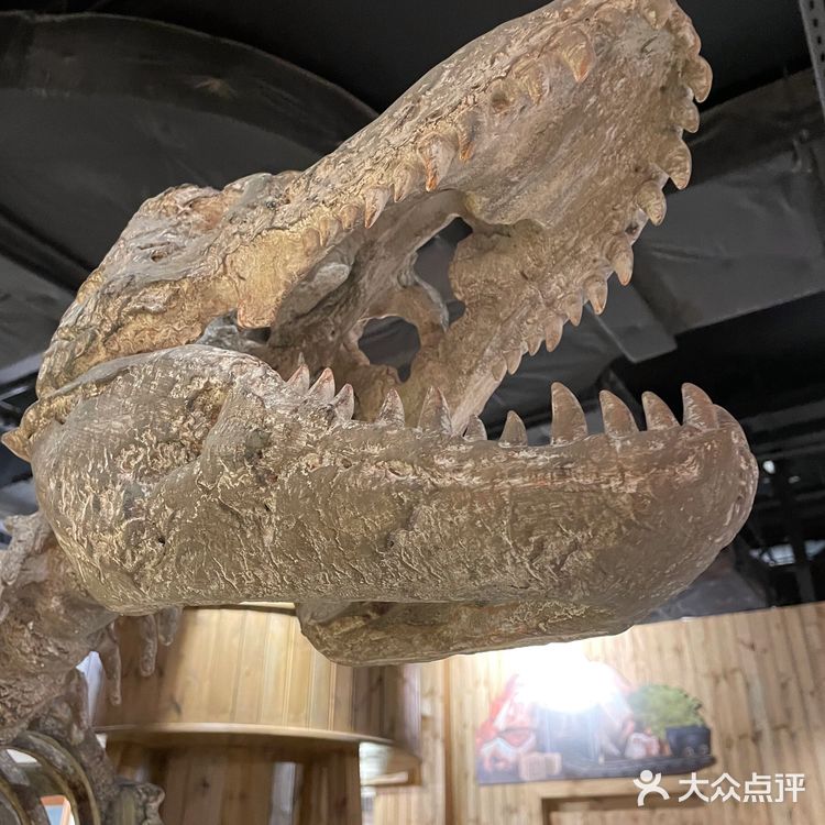 魔都上海世茂广场喜迎三周年｜凡尔纳魔幻公馆开业