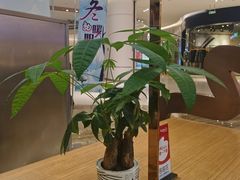 -CoCo都可(卓展店)
