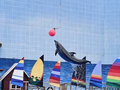 -海合安天津极地海洋公园